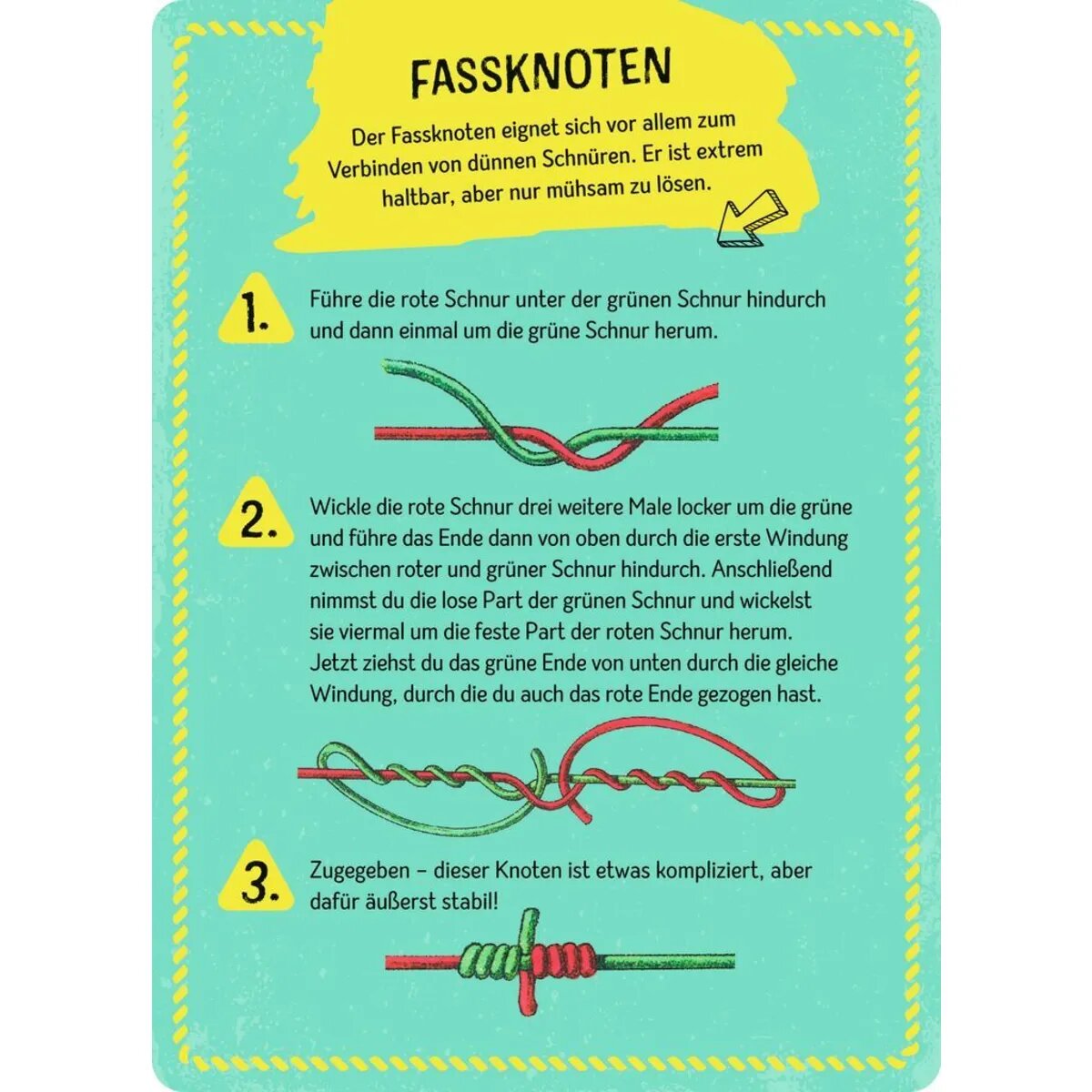 moses. Expedition Natur Die große Box der Knoten