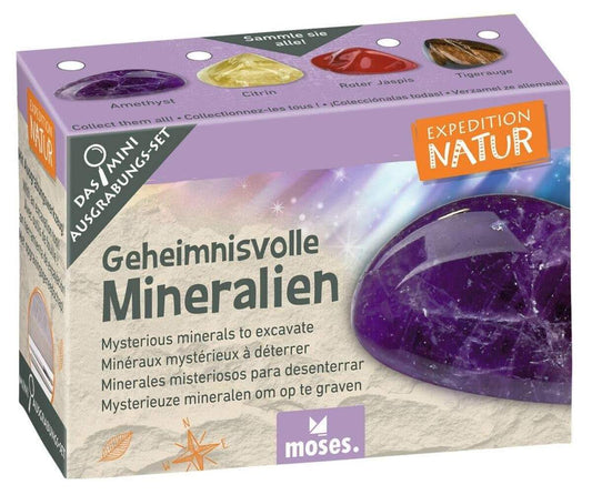 moses. Expedition Natur Mini-Ausgrabungsset, 1 Stück, sortiert