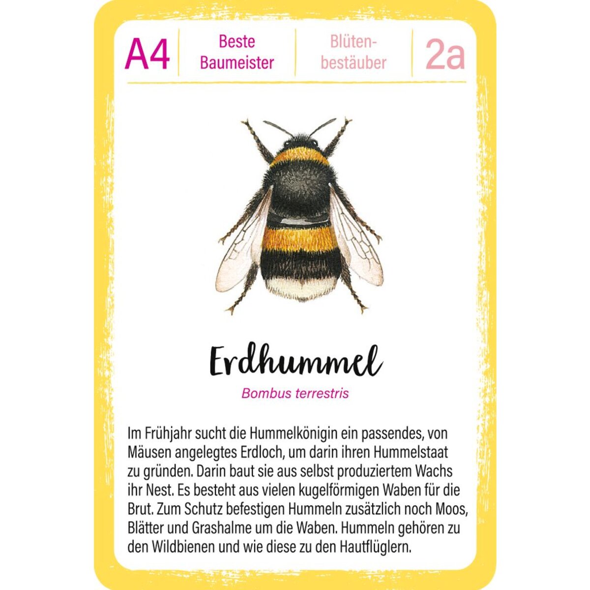 moses. Expedition Natur Quartett Tierrekorde