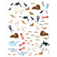 moses. Mein magisches Rubbelsticker-Buch Meerestiere