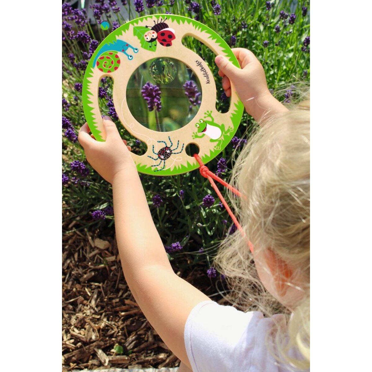 moses. Meine große Krabbelkäfer-Lupe XXL