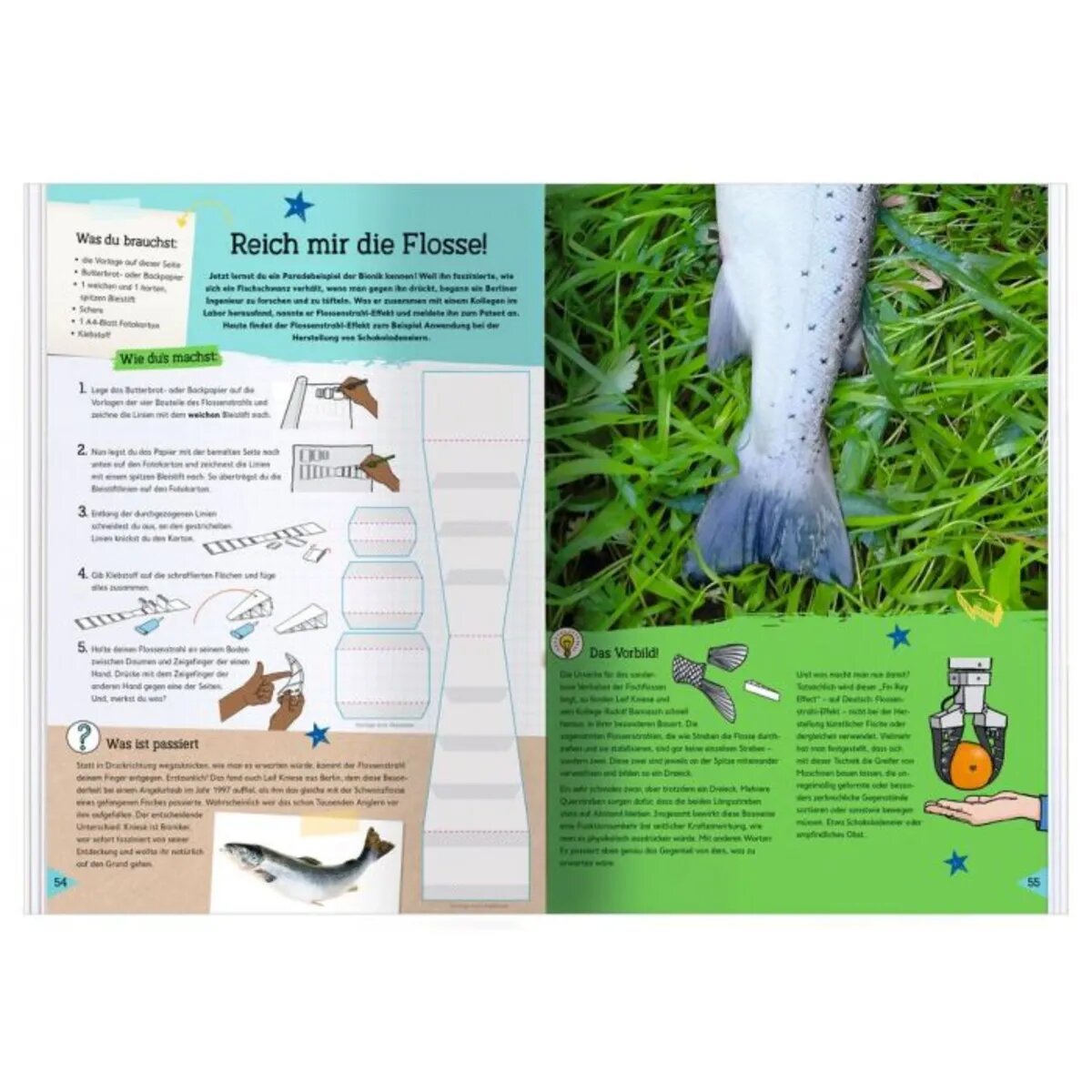 moses. PhänoMINT Abgeschaut & Nachgebaut