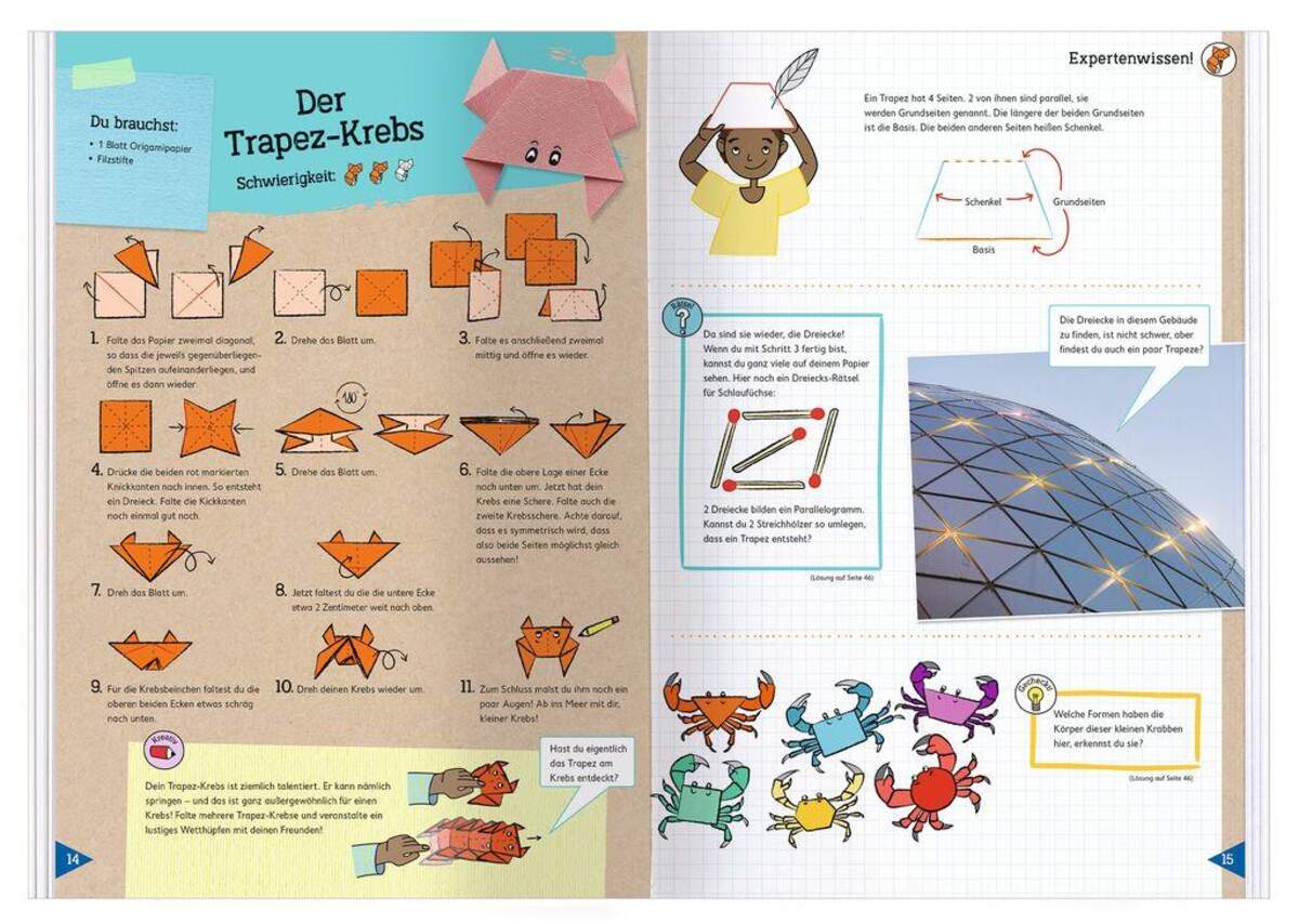 moses. PhänoMINT Geogami