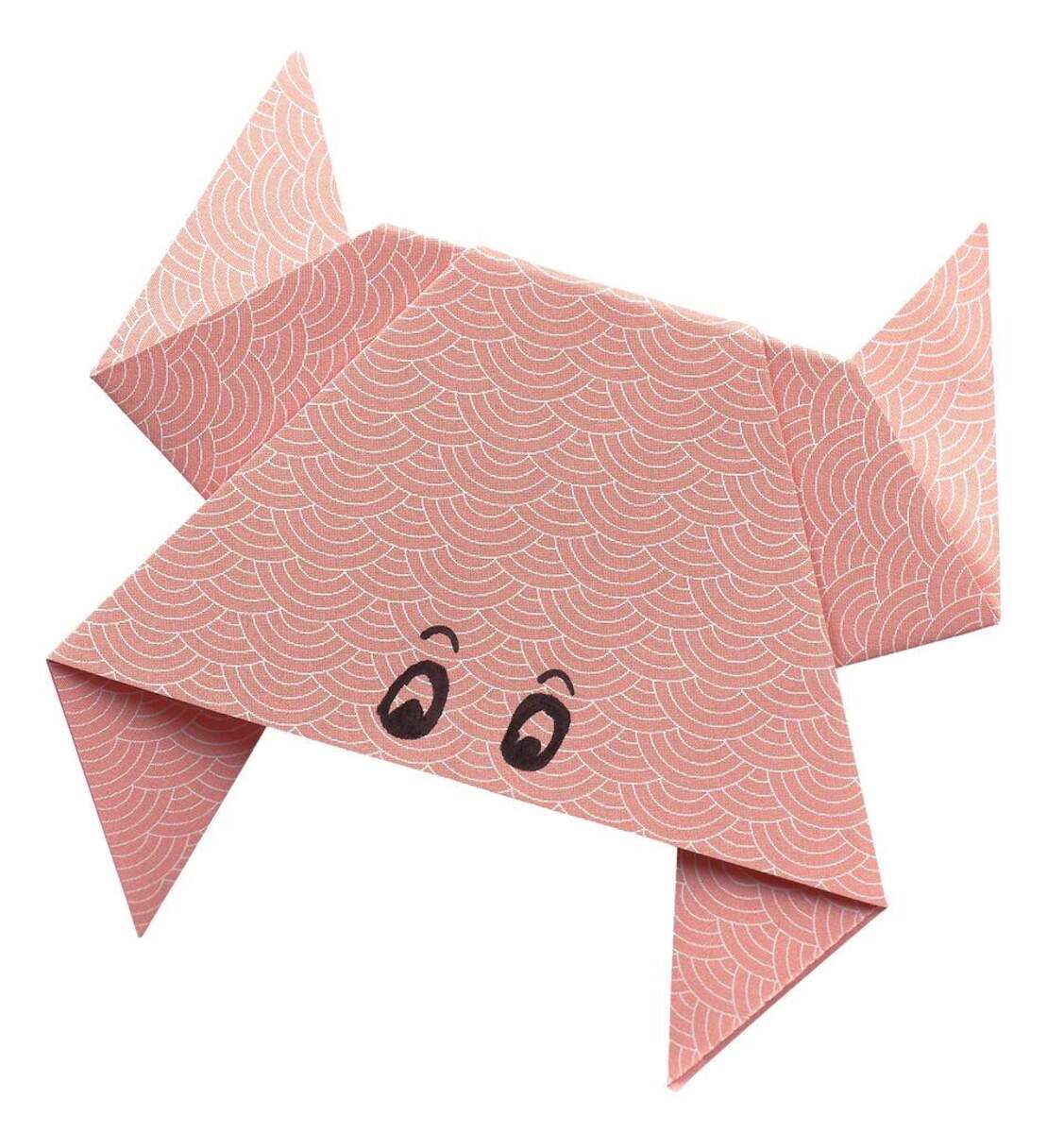 moses. PhänoMINT Geogami