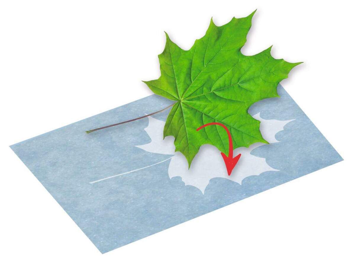 moses. PhänoMINT Sonnendruck-Papier