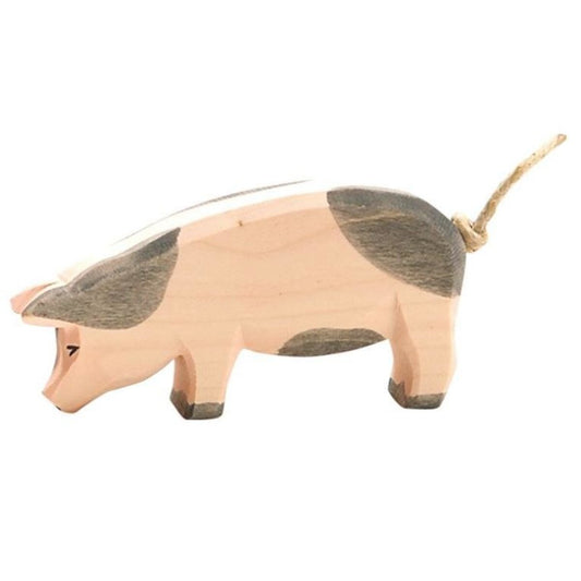 Ostheimer Schwein gefleckt Kopf tief