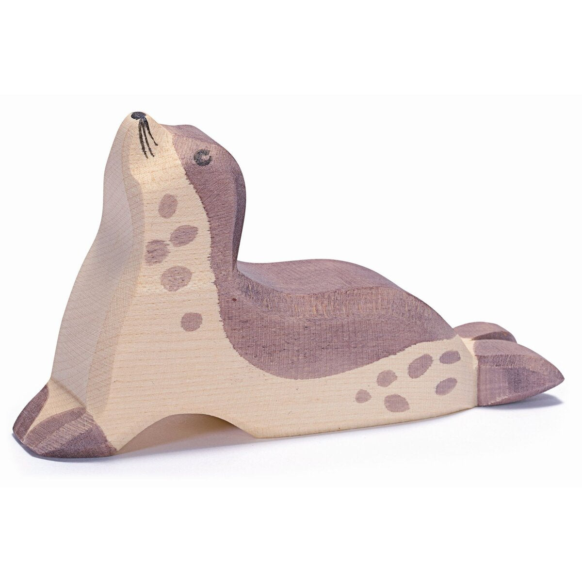 Ostheimer Seehund Kopf hoch