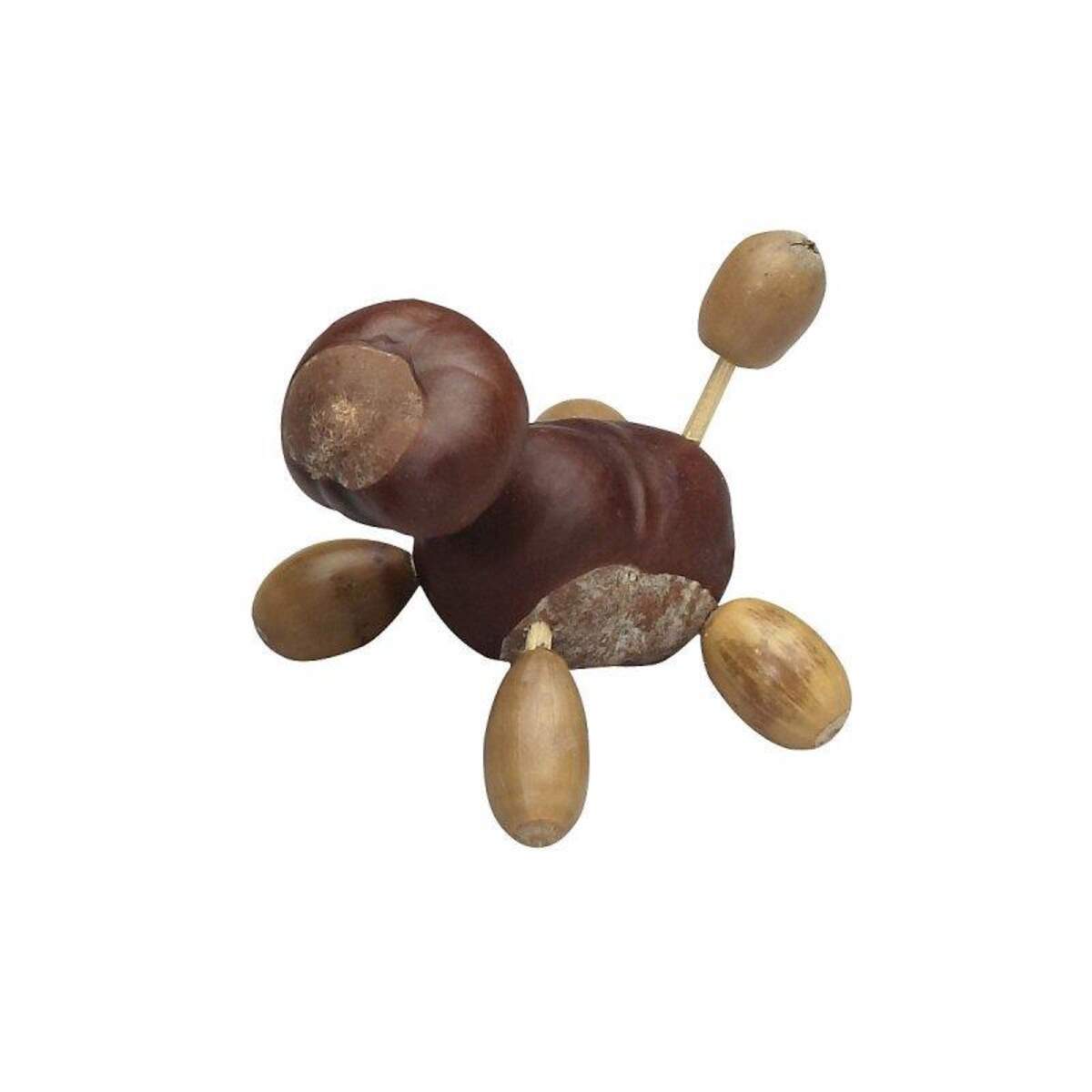 Pebaro Kastanienhalter Bastel-Set