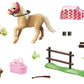 PLAYMOBIL® 70521 Country Sammelpony "Deutsches Reitpony"