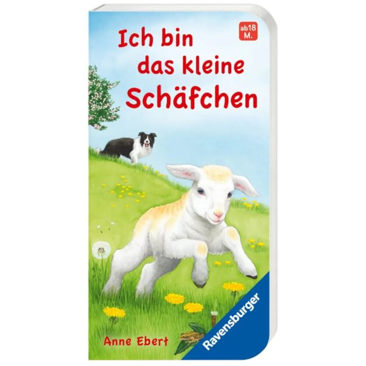Ravensburger Ich bin das kleine Schäfchen