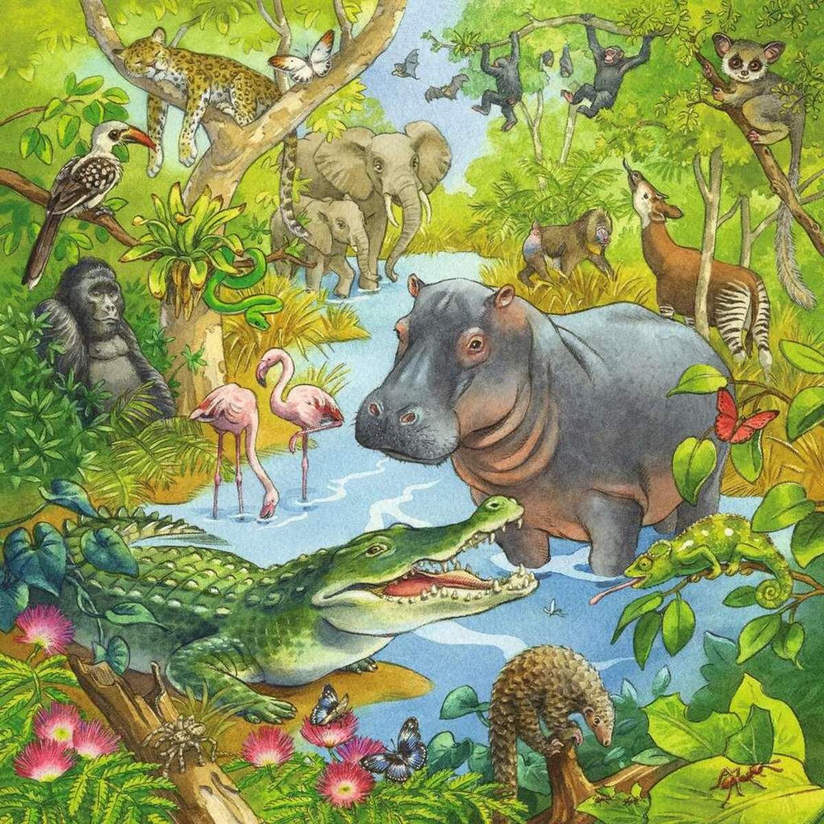 Ravensburger Kinderpuzzle 05180 - Im Urwald - 3x49 Teile