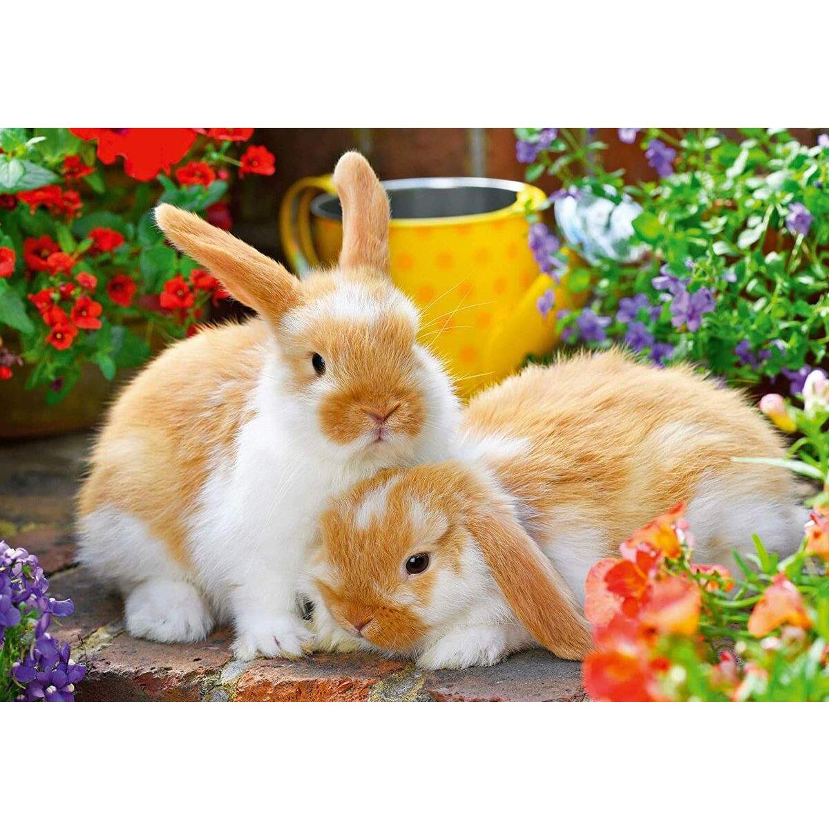 Ravensburger Kleine Kuschelzeit, 2 x 12 Teile