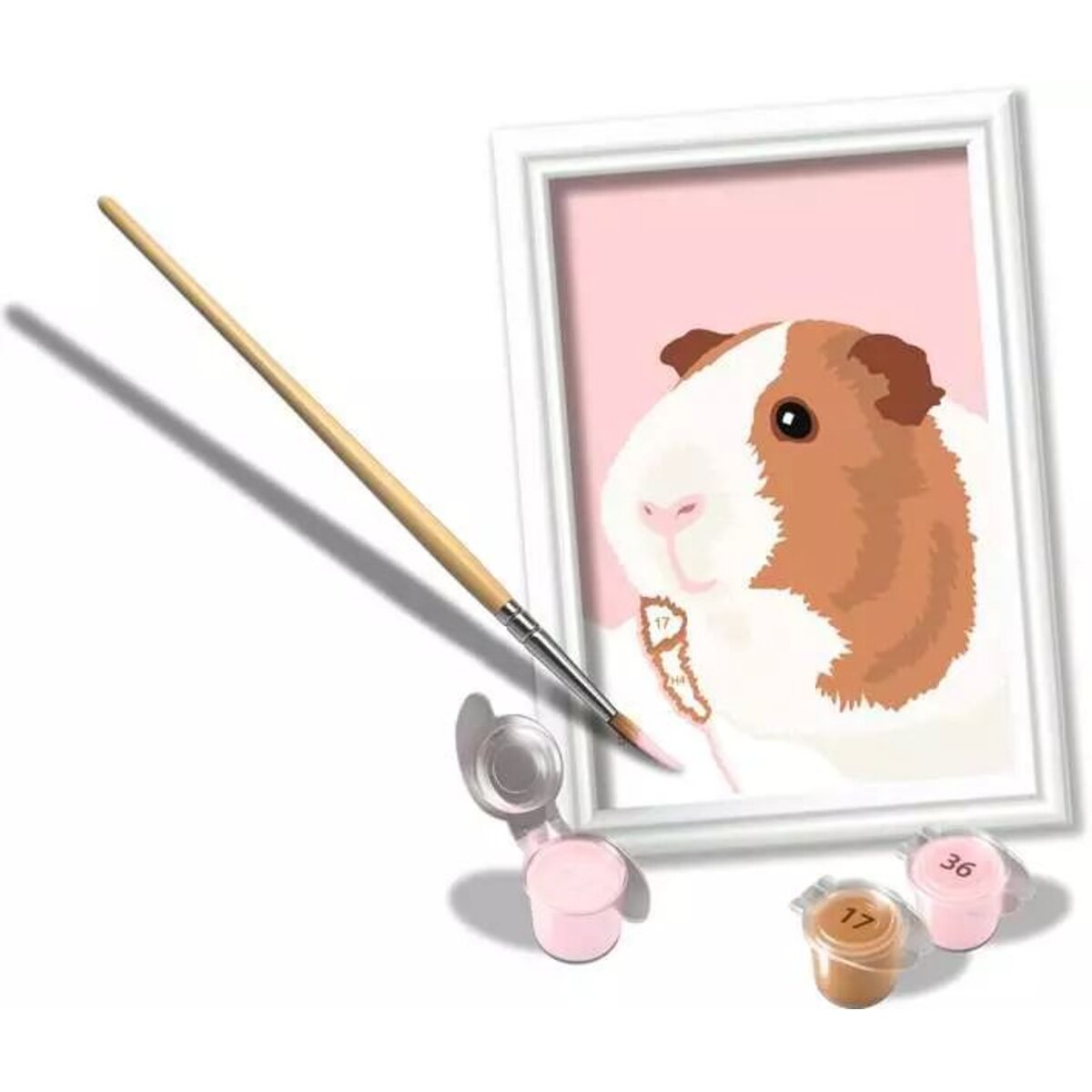 Ravensburger Malen nach Zahlen - Niedliches Meerschweinchen