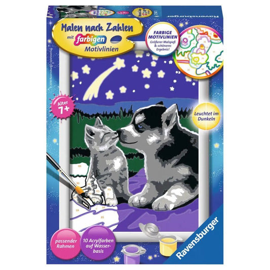 Ravensburger Malen nach Zahlen Hund und Katze GiD