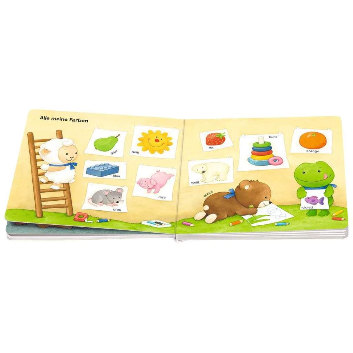 Ravensburger Mein erstes großes Wörterbuch, 12+m