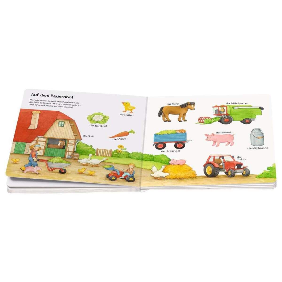 Ravensburger Mein erstes großes Wörterbuch, 12+m