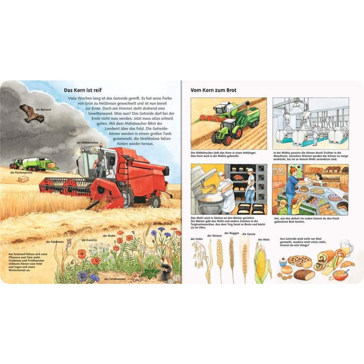 Ravensburger Mein großes Bilderlexikon: Auf dem Bauernhof