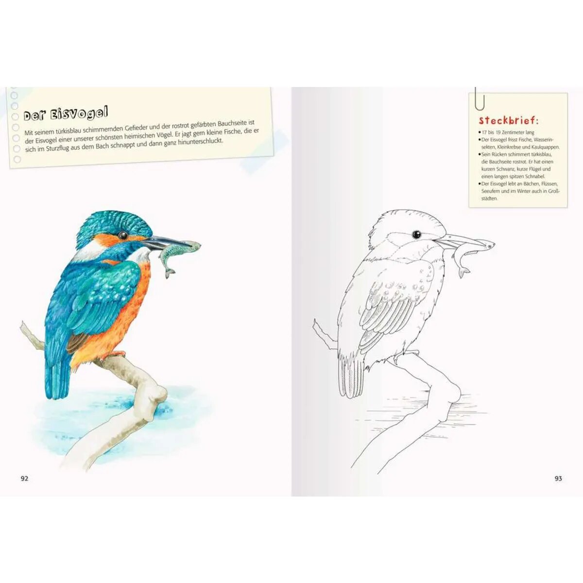 Ravensburger Mein großes Natur-Malbuch