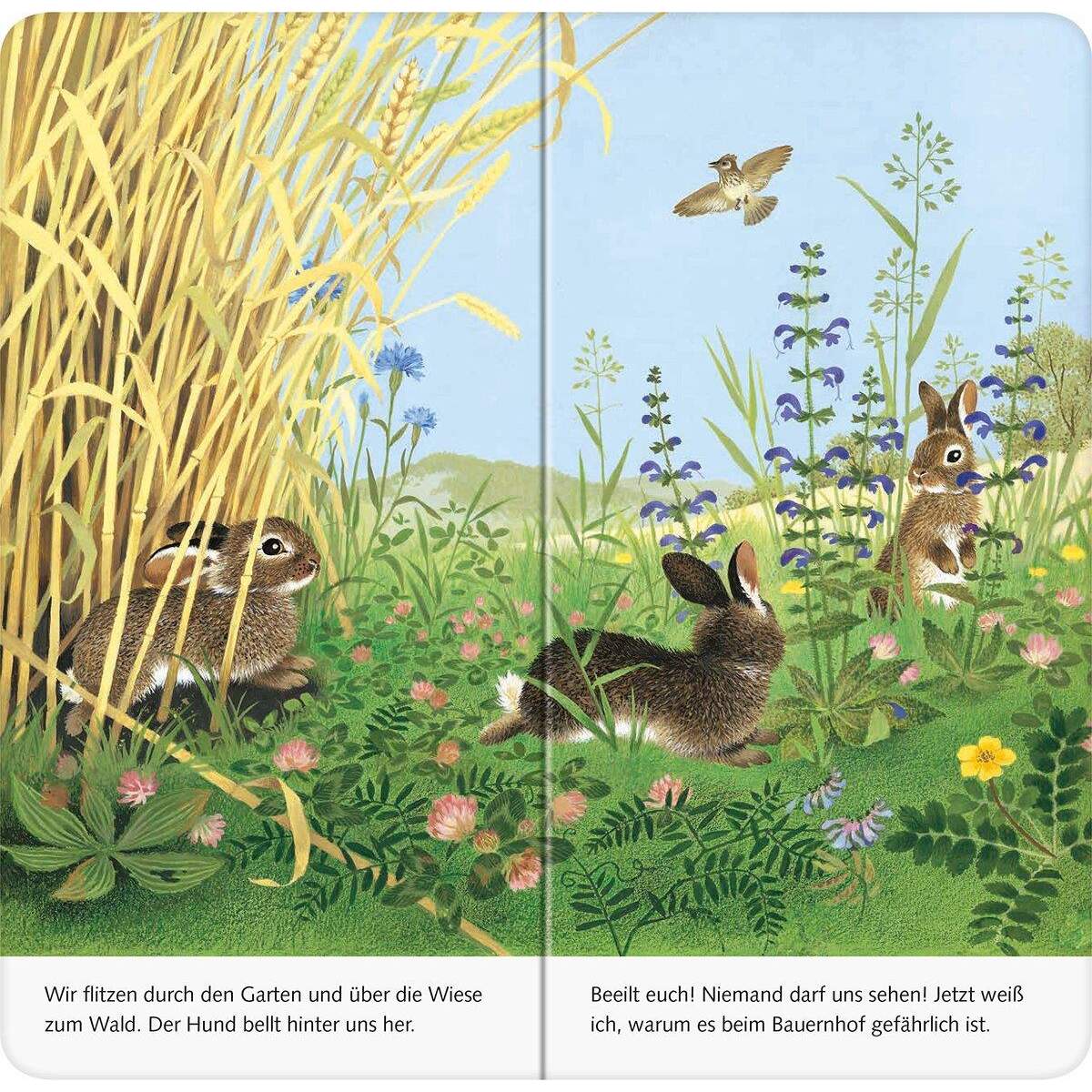 Ravensburger Mein Naturstart - Ich bin das kleine Kaninchen