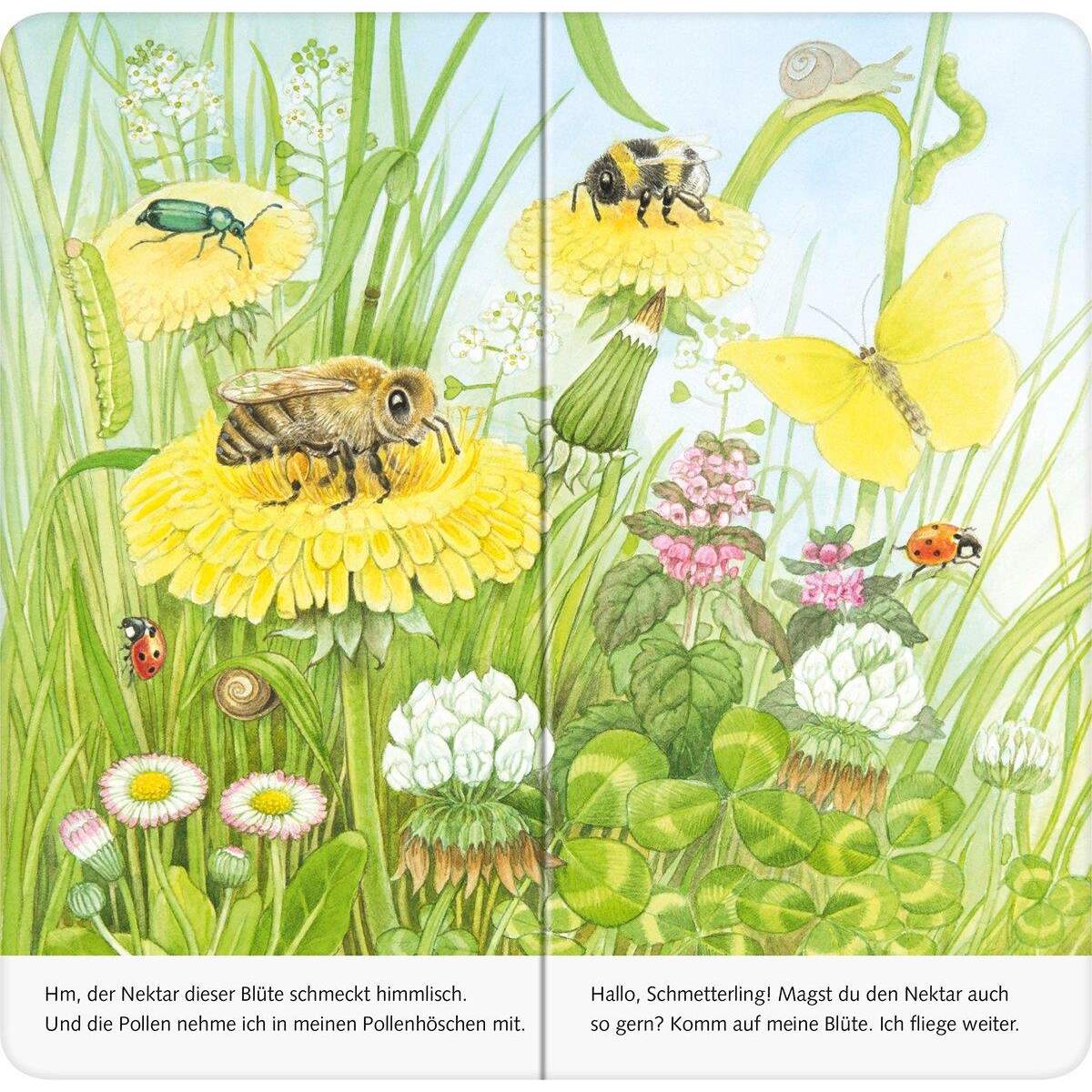 Ravensburger Mein Naturstart - Ich bin die kleine Biene