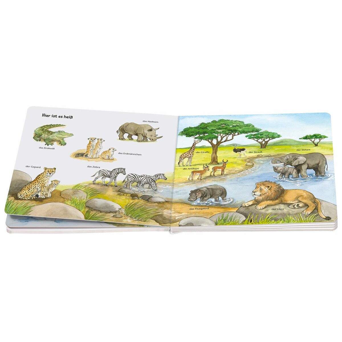 Ravensburger ministeps Mein allererstes Tierlexikon