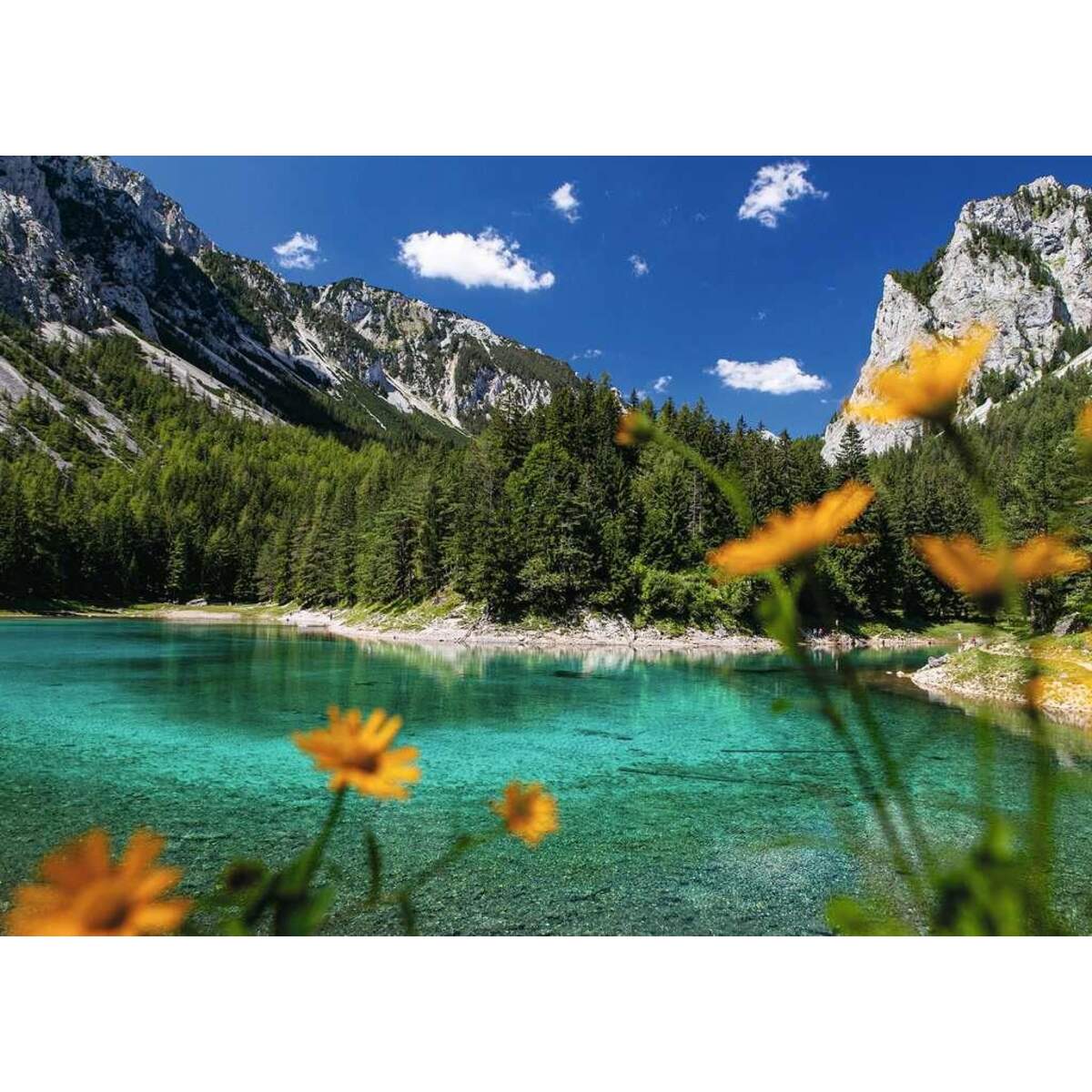 Ravensburger Puzzle - Grüner See bei Tragöß, 1000 Teile