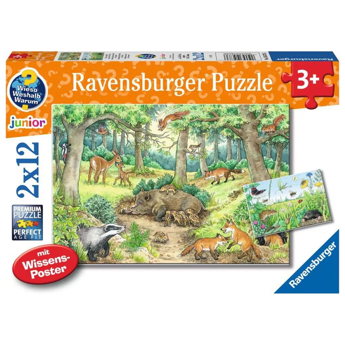 Ravensburger Puzzle - Wieso? Weshalb? Warum? Tiere im Wald und auf der Wiese, 2 x 12 Teile