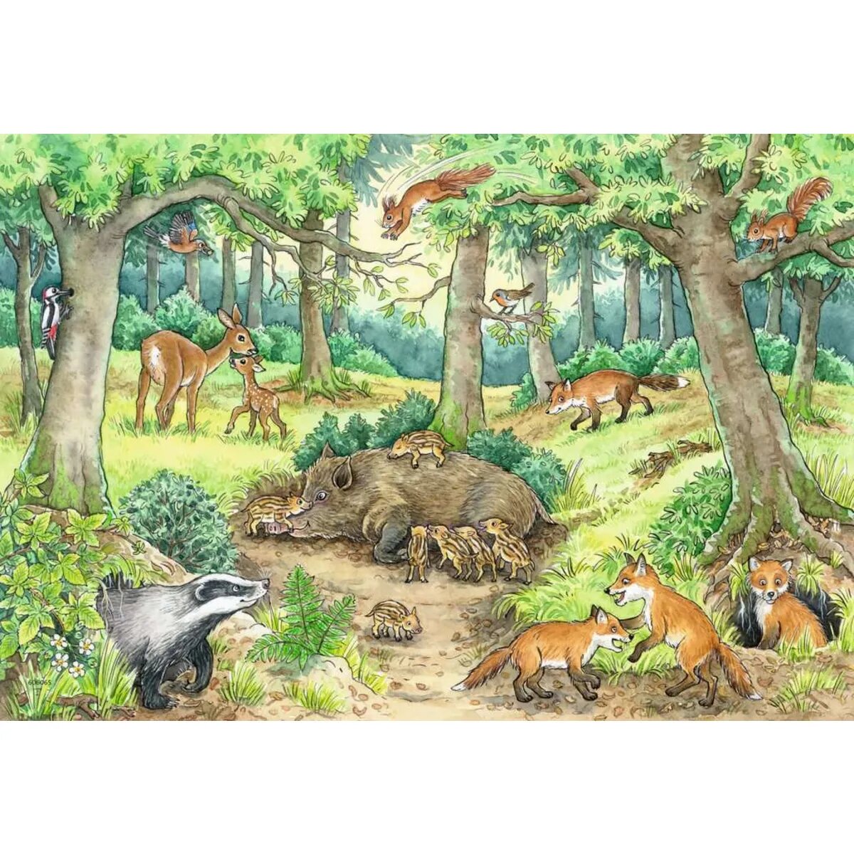 Ravensburger Puzzle - Wieso? Weshalb? Warum? Tiere im Wald und auf der Wiese, 2 x 12 Teile