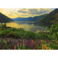 Ravensburger Puzzle Scandinavian Places - Fjord in Norwege, 1000 Teile