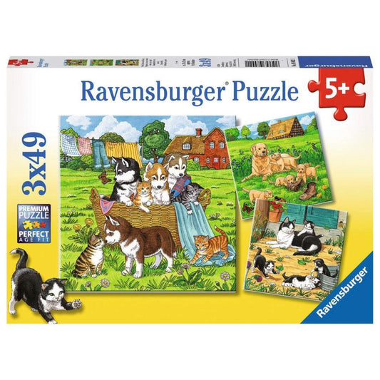 Ravensburger Puzzle Süße Katzen und Hunde 3x49 Teile