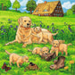 Ravensburger Puzzle Süße Katzen und Hunde 3x49 Teile