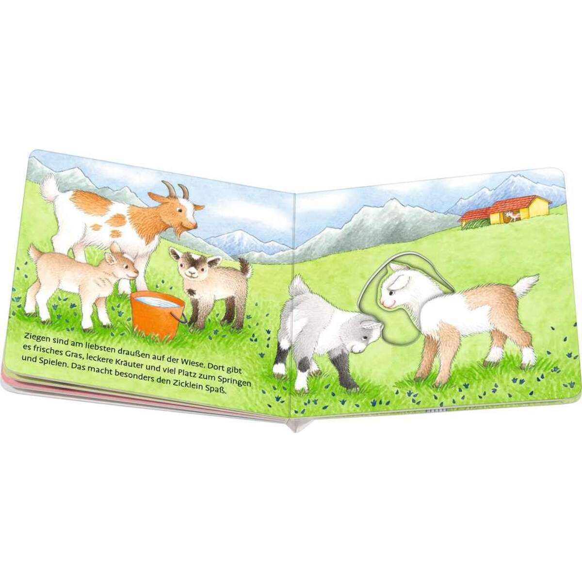 Ravensburger Wuff, wie spielt der Hund?