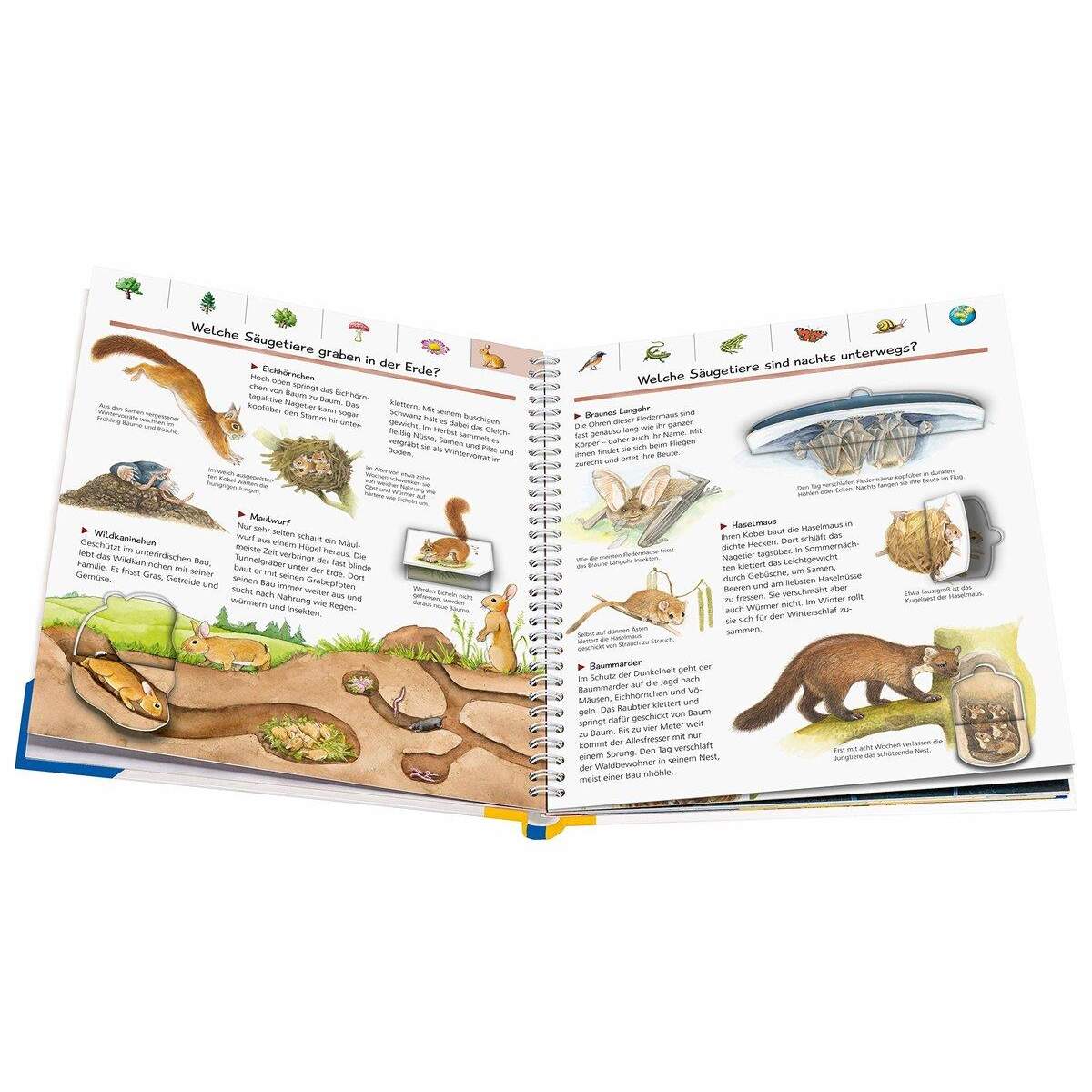 Ravensburger WWW Sonderband - Mein großes Natur-Lexikon