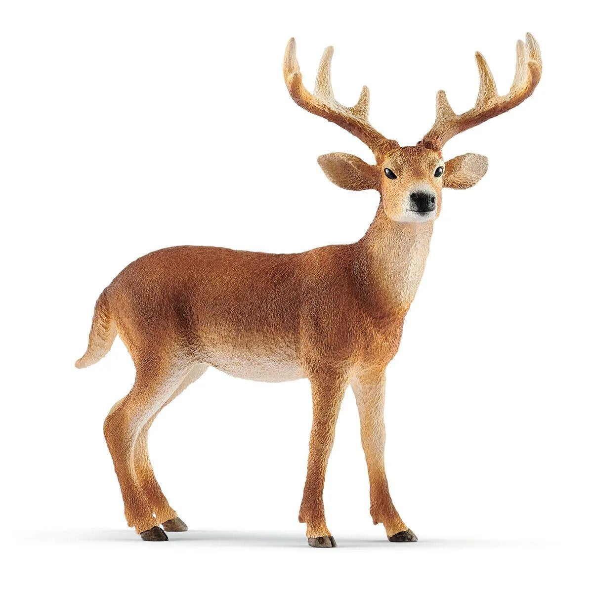 Schleich® 14818 Weißwedelhirsch