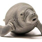 Schleich® 14839 Wild Life Seekuh