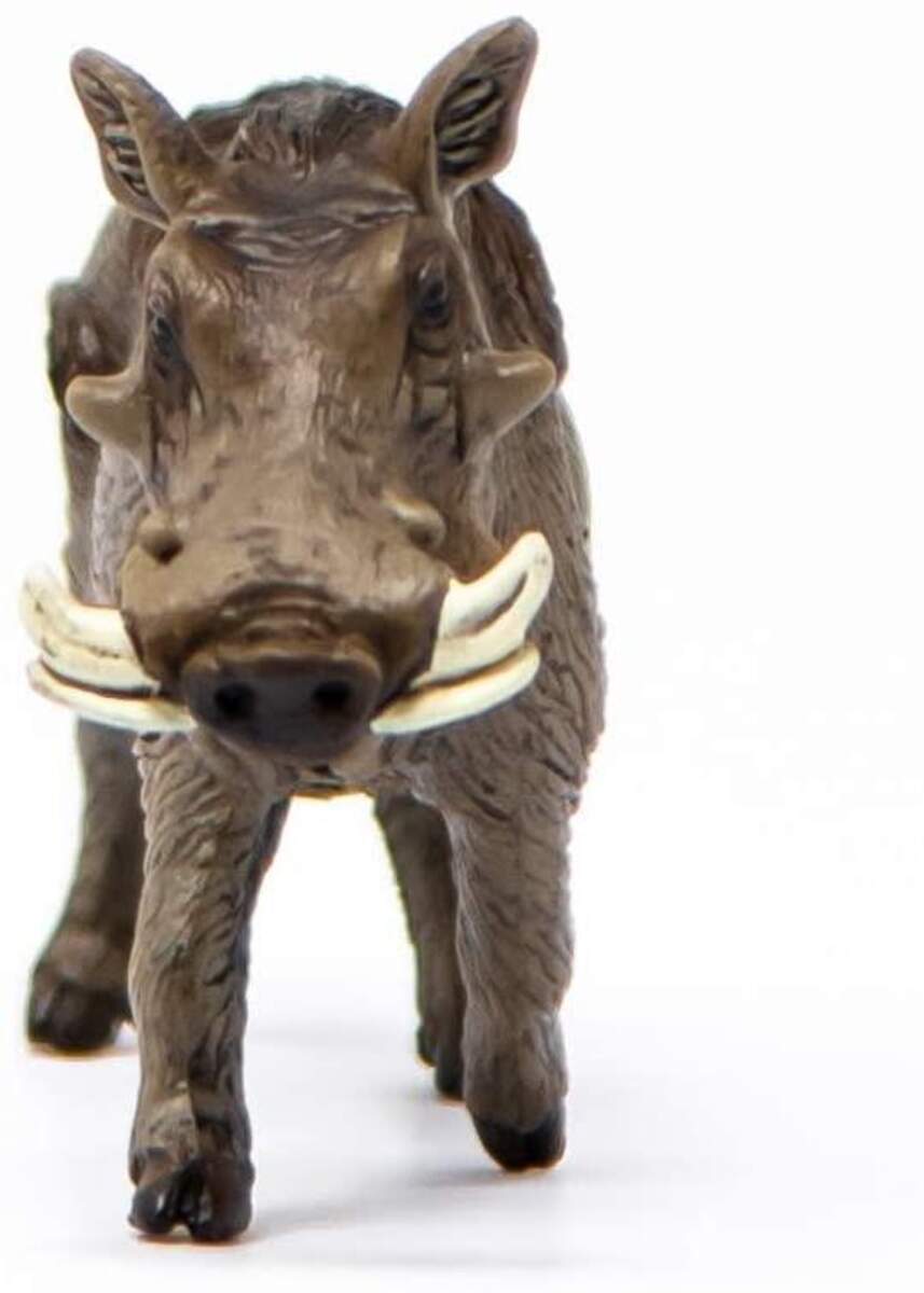 Schleich® 14843 Wild Life Warzenschwein