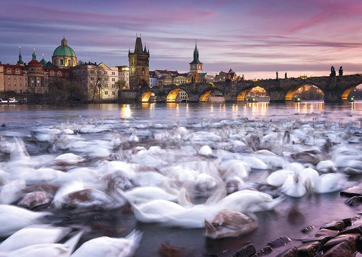Schmidt Spiele Puzzle - Christian Ringer, Prag, Schwäne, 1000 Teile
