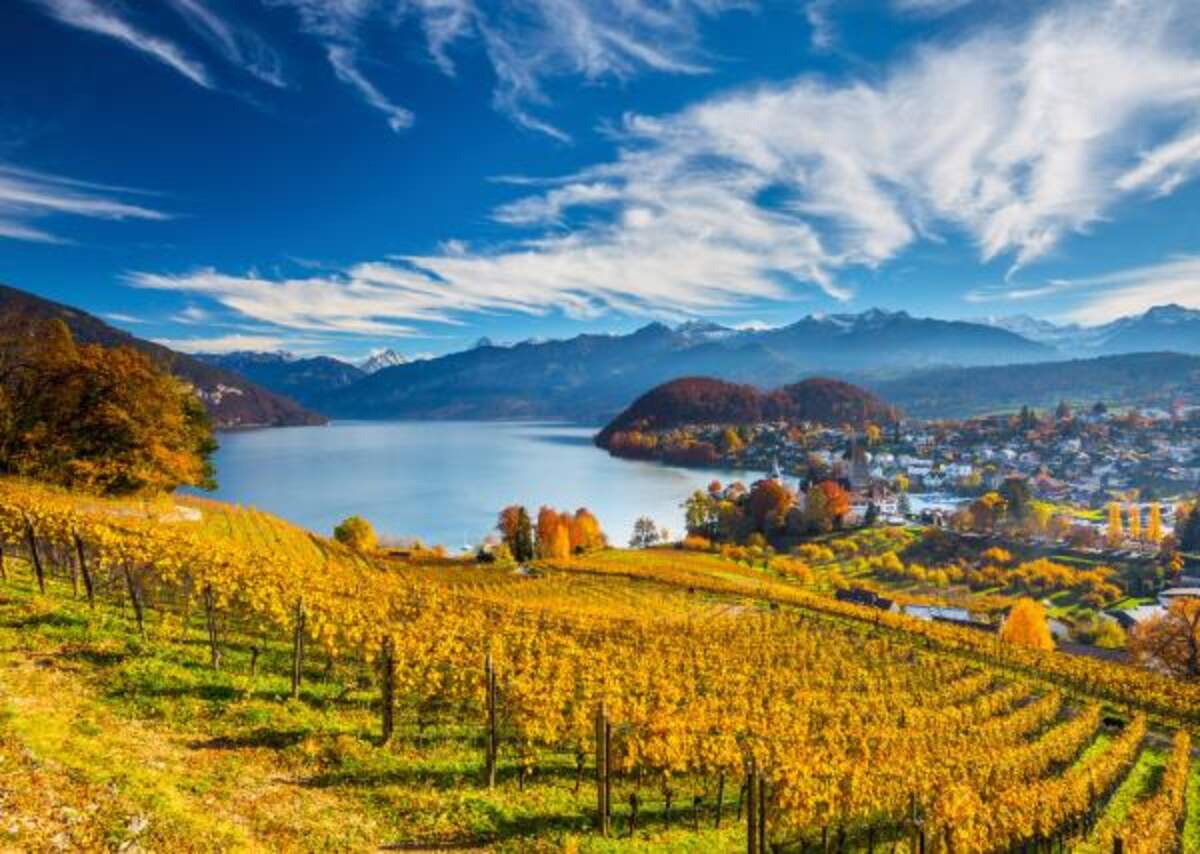 Schmidt Spiele Puzzle - Weinberge, 2000 Teile