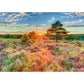 Schmidt Spiele Puzzle - Heide im Sonnenuntergang, 1000 Teile