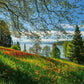 Schmidt Spiele Puzzle - Frühlingsallee zur Tulpenblüte, Insel Mainau, 1000 Teile