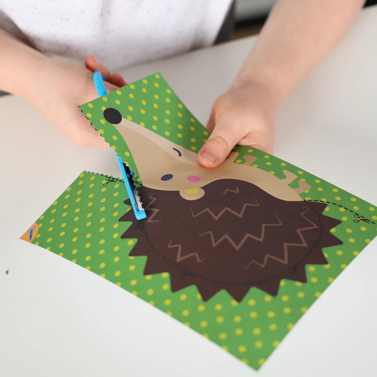 SES Creative Ich lerne schneiden Schritt für Schritt, 30 Tierkarten zum Ausschneiden