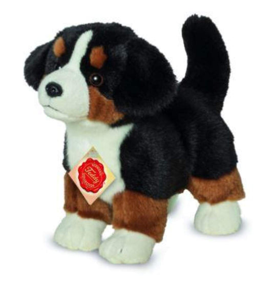 Teddy Hermann Berner Sennenhund Welpe stehend 23 cm