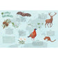 Tessloff Biome der Welt