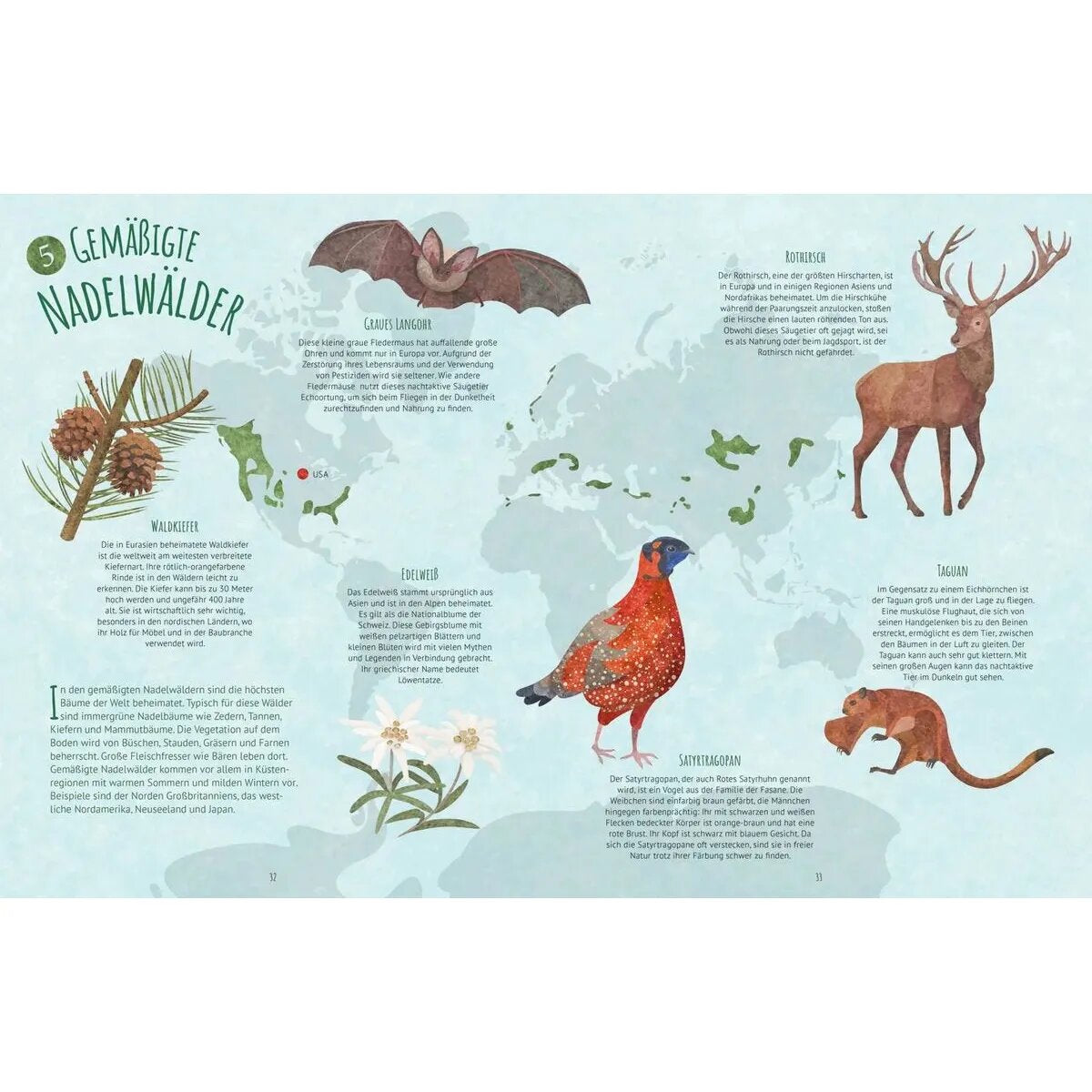 Tessloff Biome der Welt