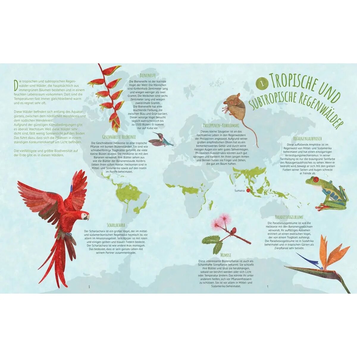 Tessloff Biome der Welt