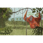 Tessloff Biome der Welt