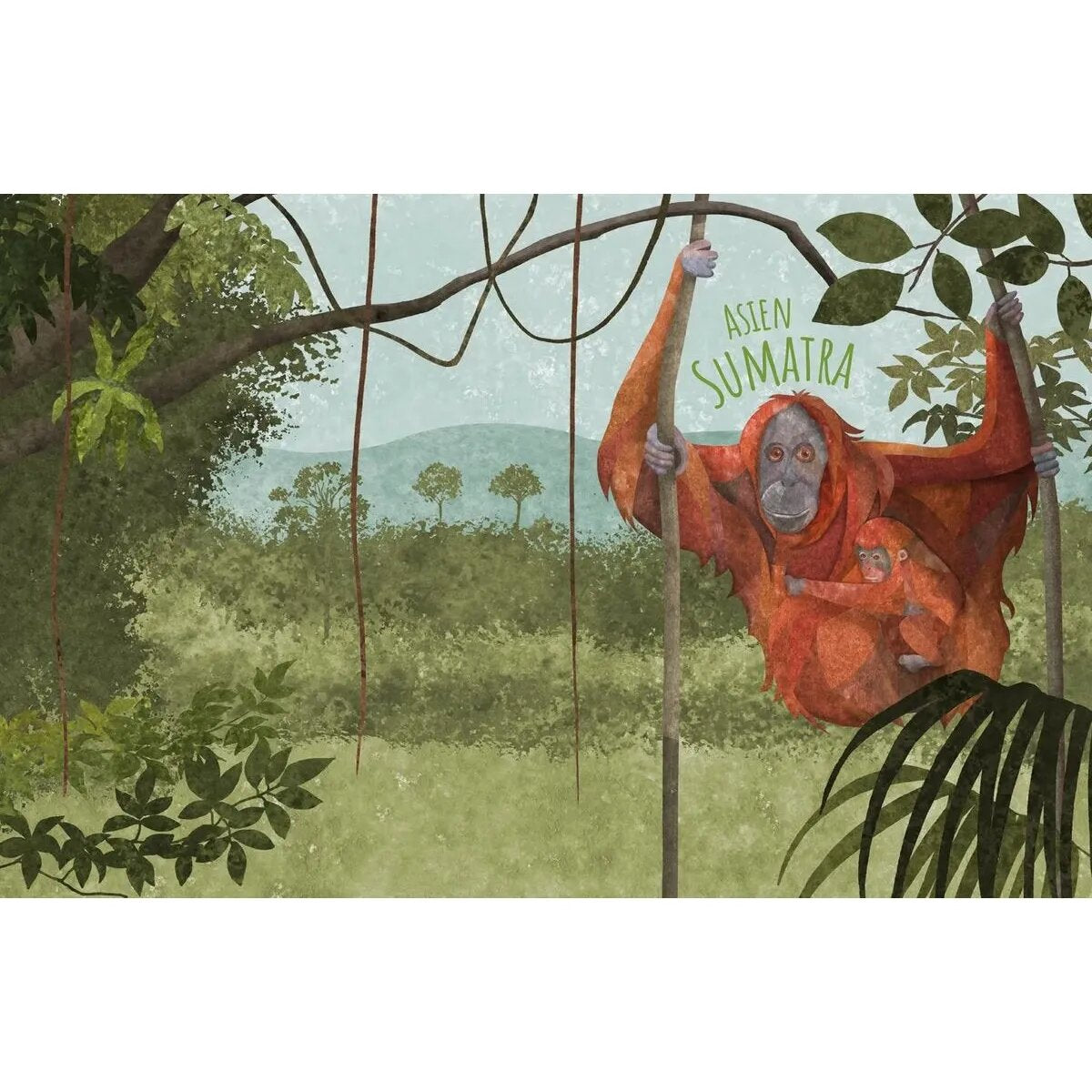 Tessloff Biome der Welt