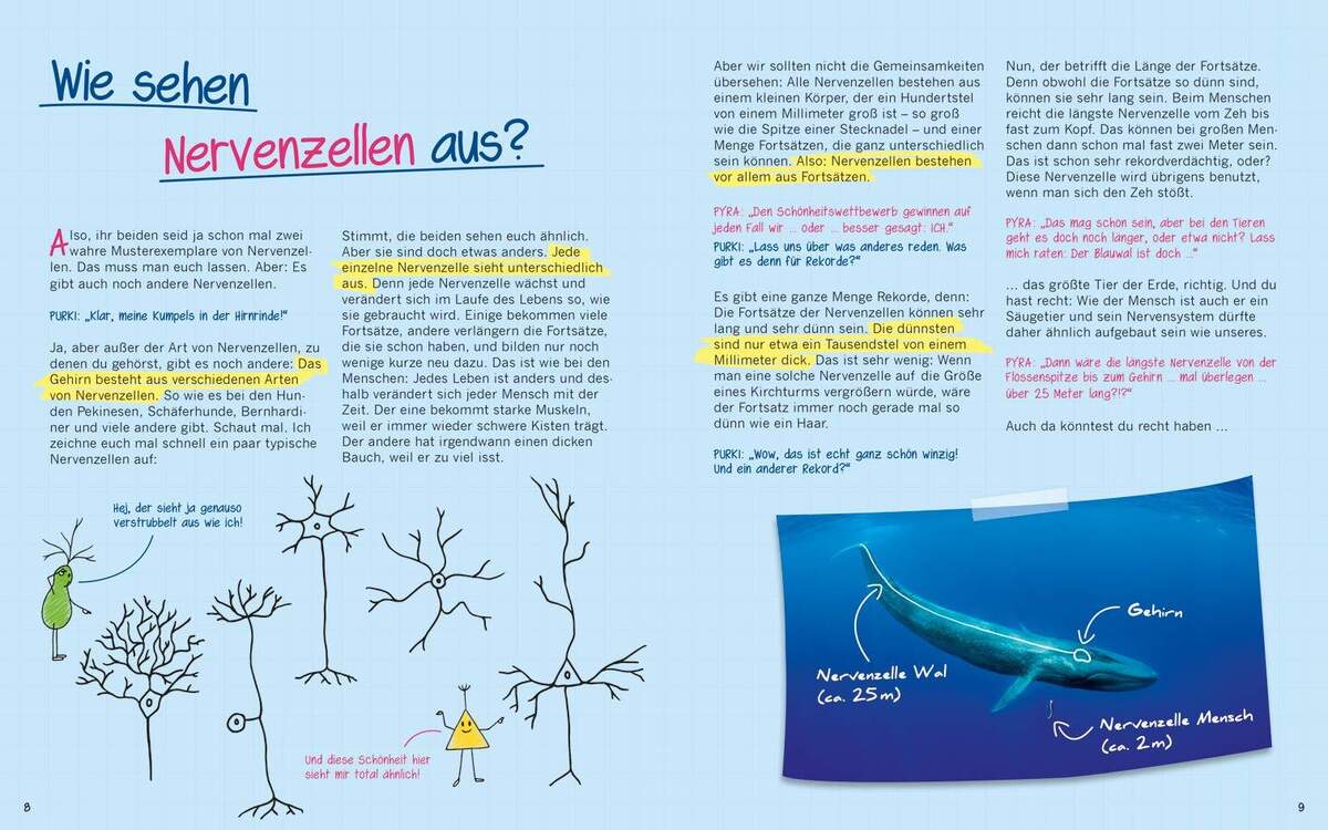 Tessloff Buch Warum graue Zellen auch mal rosa sind