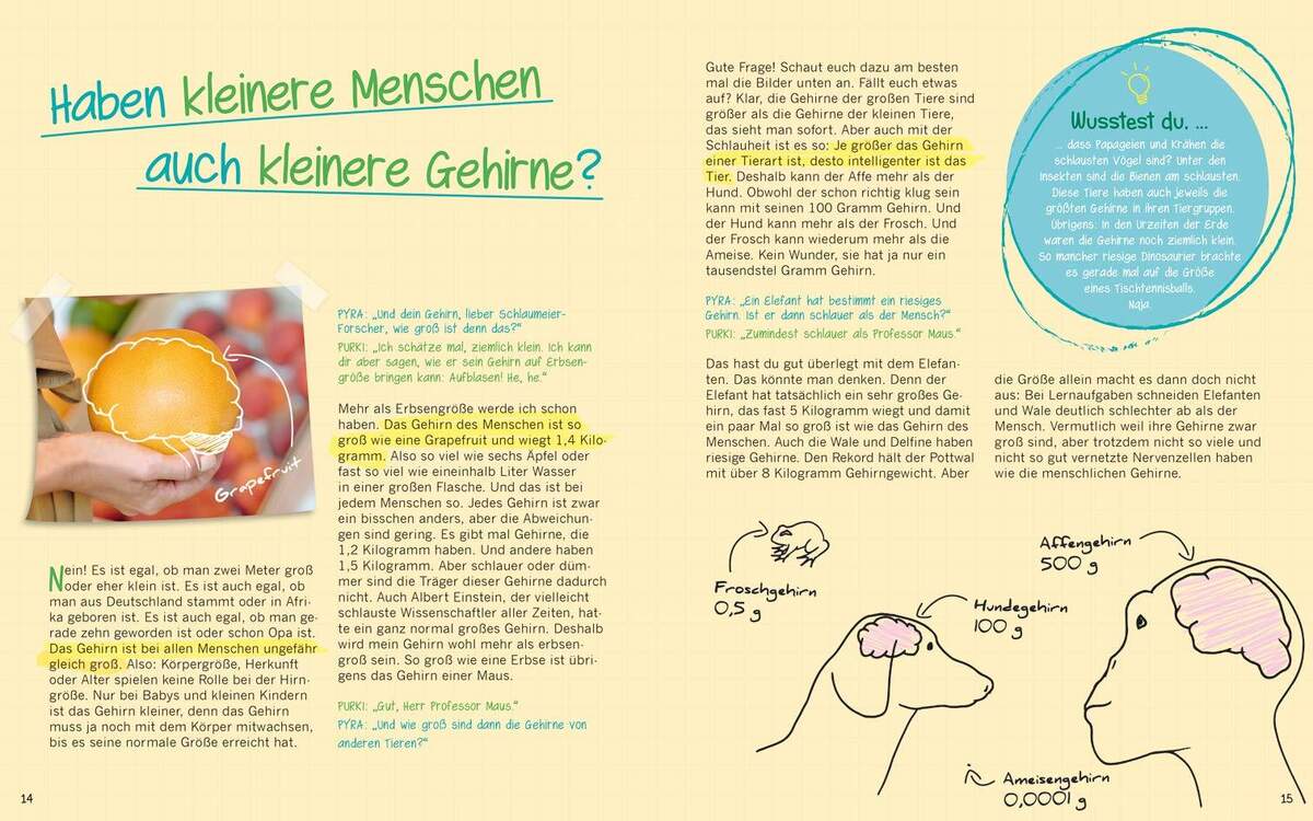 Tessloff Buch Warum graue Zellen auch mal rosa sind