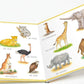 Tessloff Mein Bildwörterbuch Zoo: Spielerisches Lernen der ersten Wörter